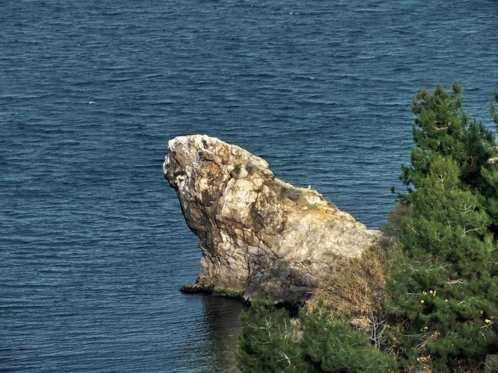 Dogalya Hotel Mudanya Zewnętrze zdjęcie