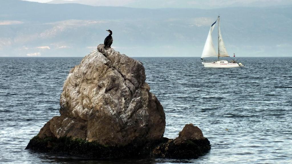 Dogalya Hotel Mudanya Zewnętrze zdjęcie